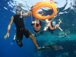 Camel Dive Club - Snorkelling Guide in Tower